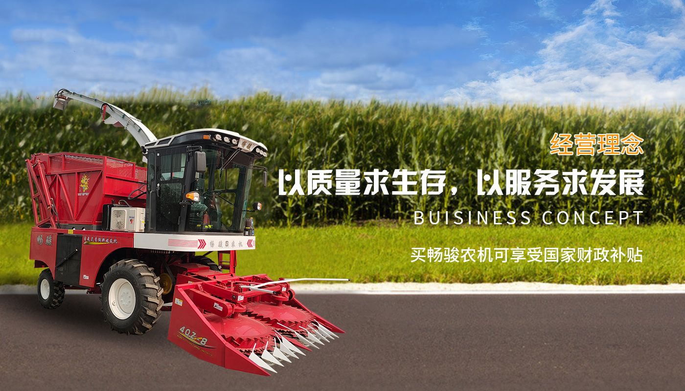 499吉彩